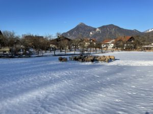 Winter Oberaudorf