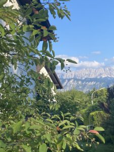 Ferienhaus Wildbarren Blick vom Balkon auf Kaiser-Gebirge